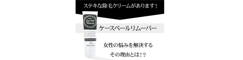 �P���x�[�������[�o�[���T�C�g